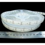 LED лента RISHANG 2835-120-IP67-R-12-12