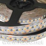 LED лента QL-F2016A60SA-W-12-CES