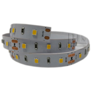 LED стрічка MG-FL28Q60V12-H-NW