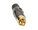 RCA-ACPL-CBK