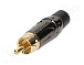 RCA-ACPL-CBK