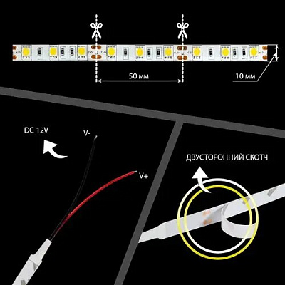 LED стрічка ST-12-5050-60-CW-65-V2