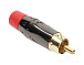 RCA-ACPL-CRD