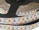 LED лента QL-F2016A60SA-W-12-CES