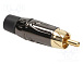 RCA-ACPL-CBK