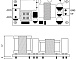 Блок питания YS-U12S24H 24V 500mA 12W