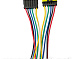 Разъём авто 6 pin с проводами (папа+мама)