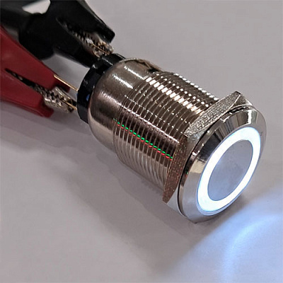 Кнопка антивандальна HQ19N/F11-12V-W