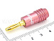 BC-421-P