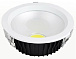 OPG-CL007A-COB-30W