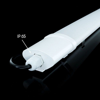 Светильник IP65 TL-600 18W