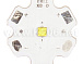 CREE XBD-STAR21mm-CW