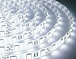 LED стрічка ST-12-5050-60-CW-65-V2