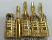 Nakamichi-Banan-Gold/B