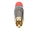 RCA-ACPL-CRD