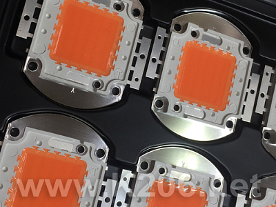 LED-Fito-Full Band-50W