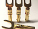 Nakamichi-Spade-Gold/R