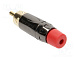 RCA-ACPL-CRD