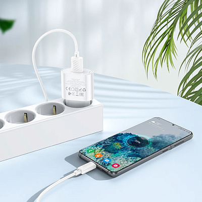 Зарядное устройство 1*USB HOCO C109A WHITE