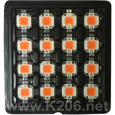 LED-Fito-Full Band-10W