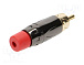 RCA-ACPL-CRD