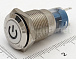 Кнопка антивандальная HQ16N/F11Z-12V-EDY-G